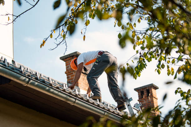 Best Metal Roofing Contractor  in Kenmore, WA